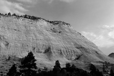 Zion NP0502_49_B&W.jpg