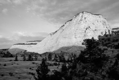 Zion NP0504_50_B&W.jpg