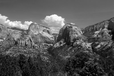Zion NP0588_55_B&W.jpg