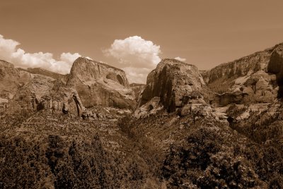 Zion NP0588_55_Sepia.jpg