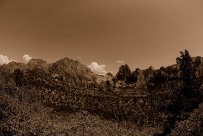 Zion NP0594_56_Sepia.jpg