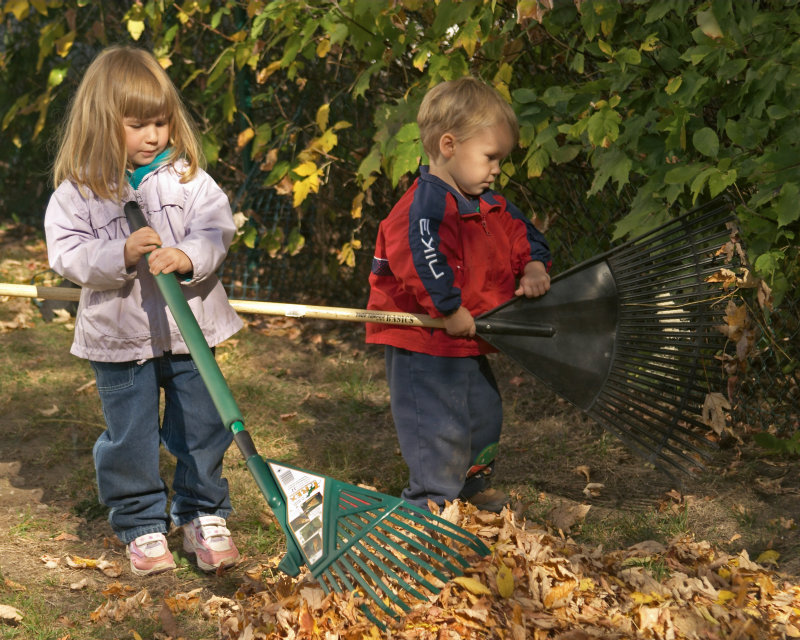 kids rakes.jpg