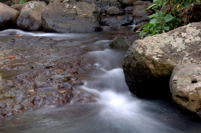 Ragubrob Creek