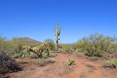Owl Butte.jpg