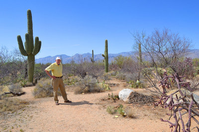 Saguaro East.jpg