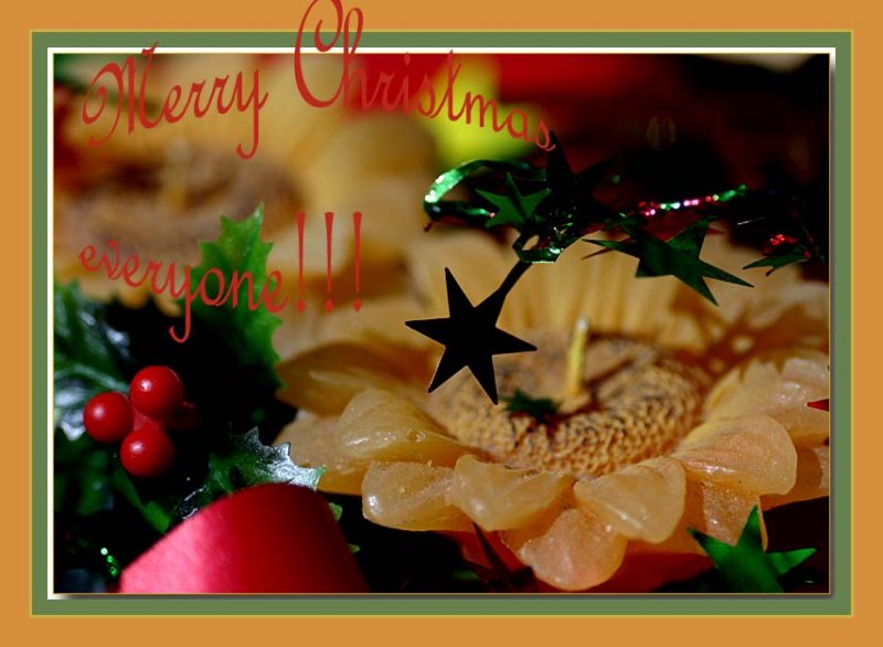 Christmas card from Down Under