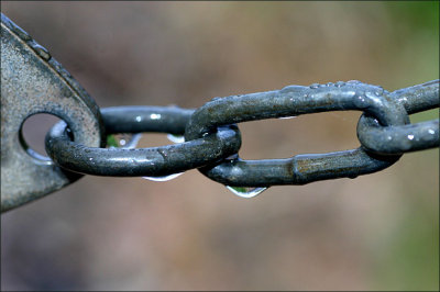 Raindrops on the gate's chain