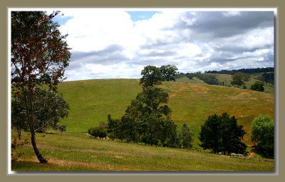 Our back paddock...