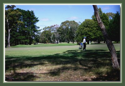 Golfing day at the local....