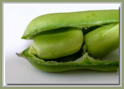 Time for broad beans...