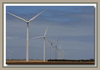 Windmill Farm near Wool Bay