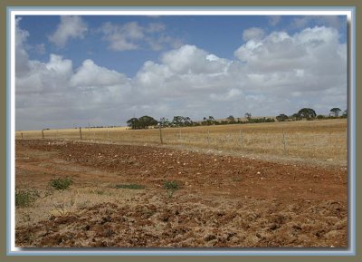 Back road near Curramulka