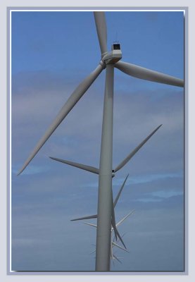 Windmills from the windmill farm