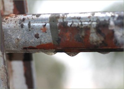 Raindrops on the ladder rung