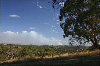 Mt. Bold bushfire