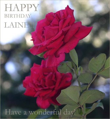 Happy birthday Laine!!!