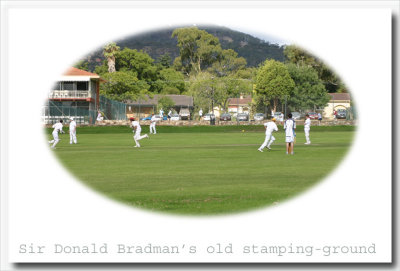 Cricketers - Sir D. Bradmans old stamping ground