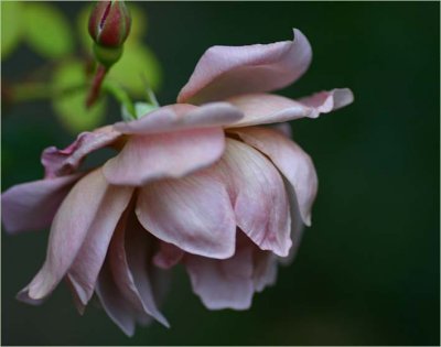 g6/49/99249/3/79758565.mS9aGYKN.jpg