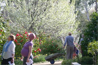 Stangate Garden in spring