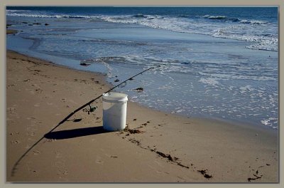 Fishing rod and bucket