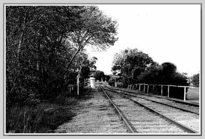 Old railway line  - Strathalbyn