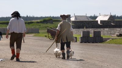Fortress louisbourg Geese.jpg