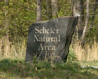 Scheier Natural Area