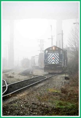 Working the yard on a foggy day.