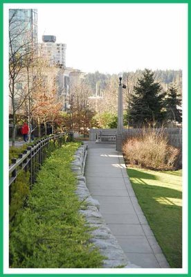 Pathway along the waterfront.