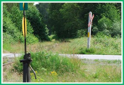 Overgrown right of way.