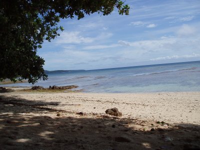 Spot des Gavotto au nord d'Efate