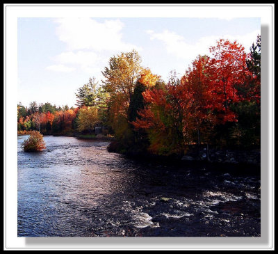 Paysage d'automne