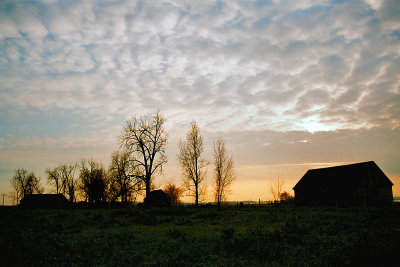 Silhouettes at sundown