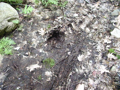 acres07-007-hikes02.jpg