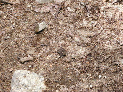 acres07-017-hikes12.jpg