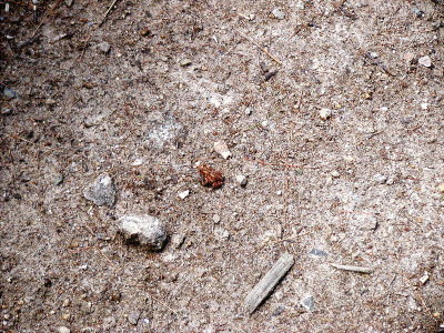 acres07-018-hikes13.jpg