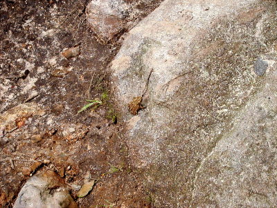 acres07-020-hikes15.jpg