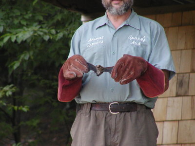 acres07-035.jpg