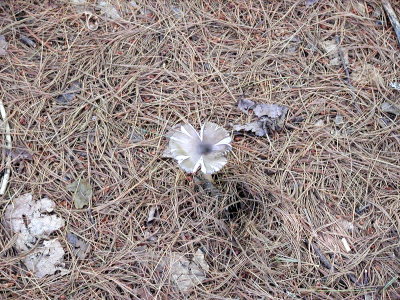 acres07-060.jpg