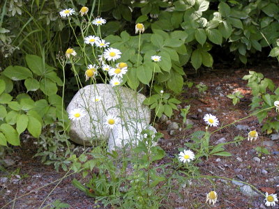 acres07-062.jpg