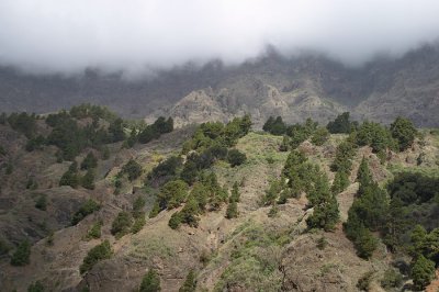 National park La Caldera de Taburiente