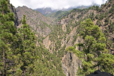 View from Somada del Palo.