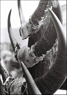 g6/50/358250/3/77187325.D3xmgYLE.jpg