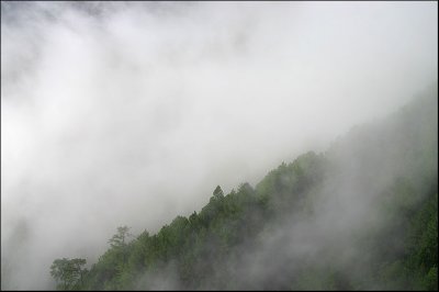 g6/50/358250/3/82451462.r82R5APF.jpg