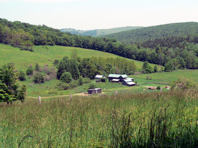 View from Bear Mountain Farm
