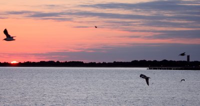 Sunrise from Lewes/Cape May ferry