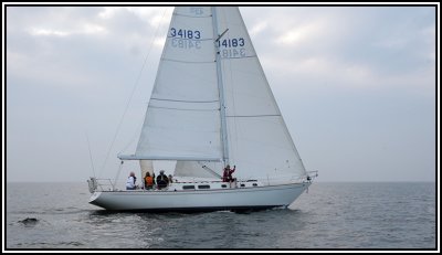 IMG_1847.JPG
