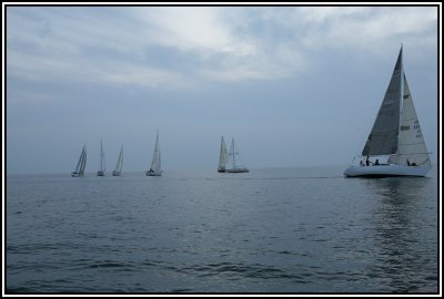IMG_1910.JPG