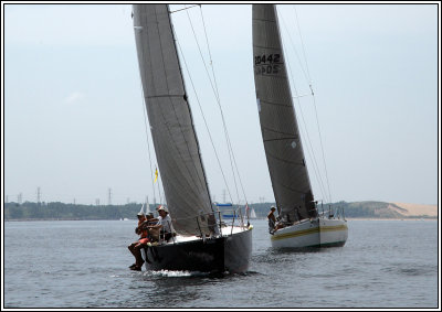 IMG_8773.jpg
