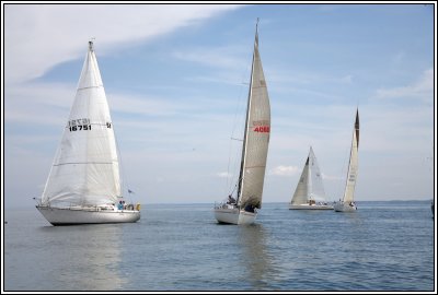 IMG_8797.jpg